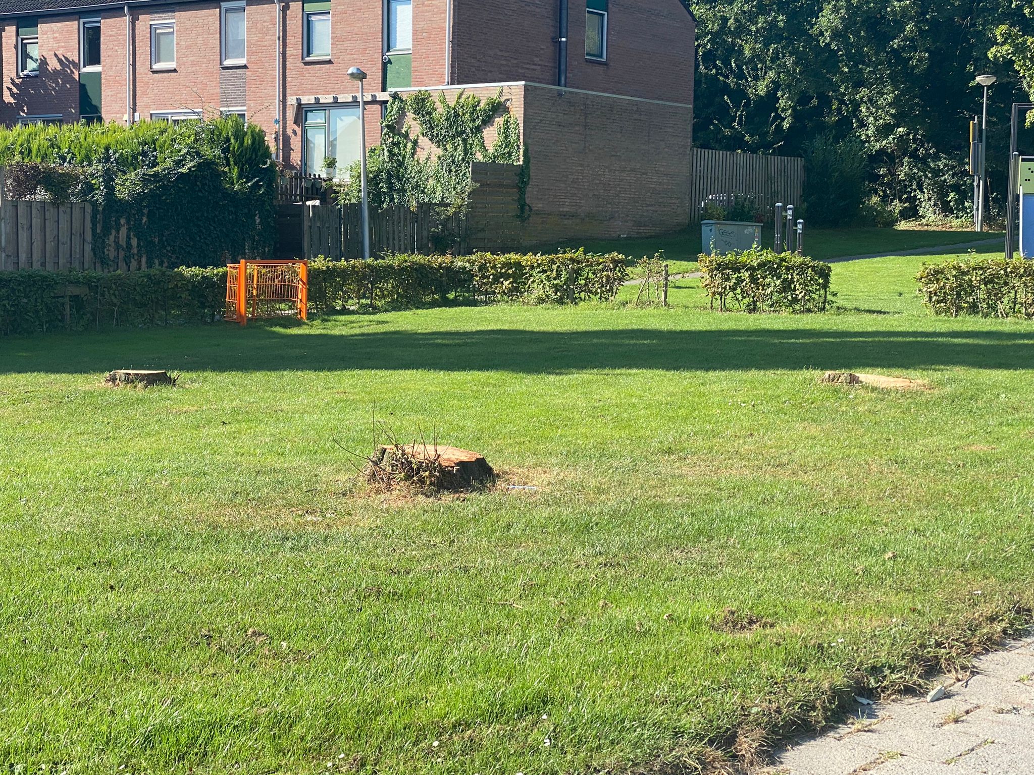 Bomen speelveldje Eisenhowerstraat/ML Kingstraat