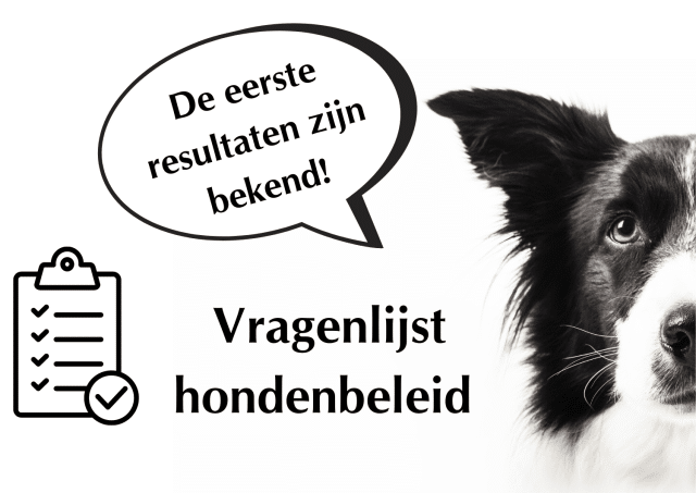 Eerste resultaten vragenlijst over het hondenbeleid in Kerkrade